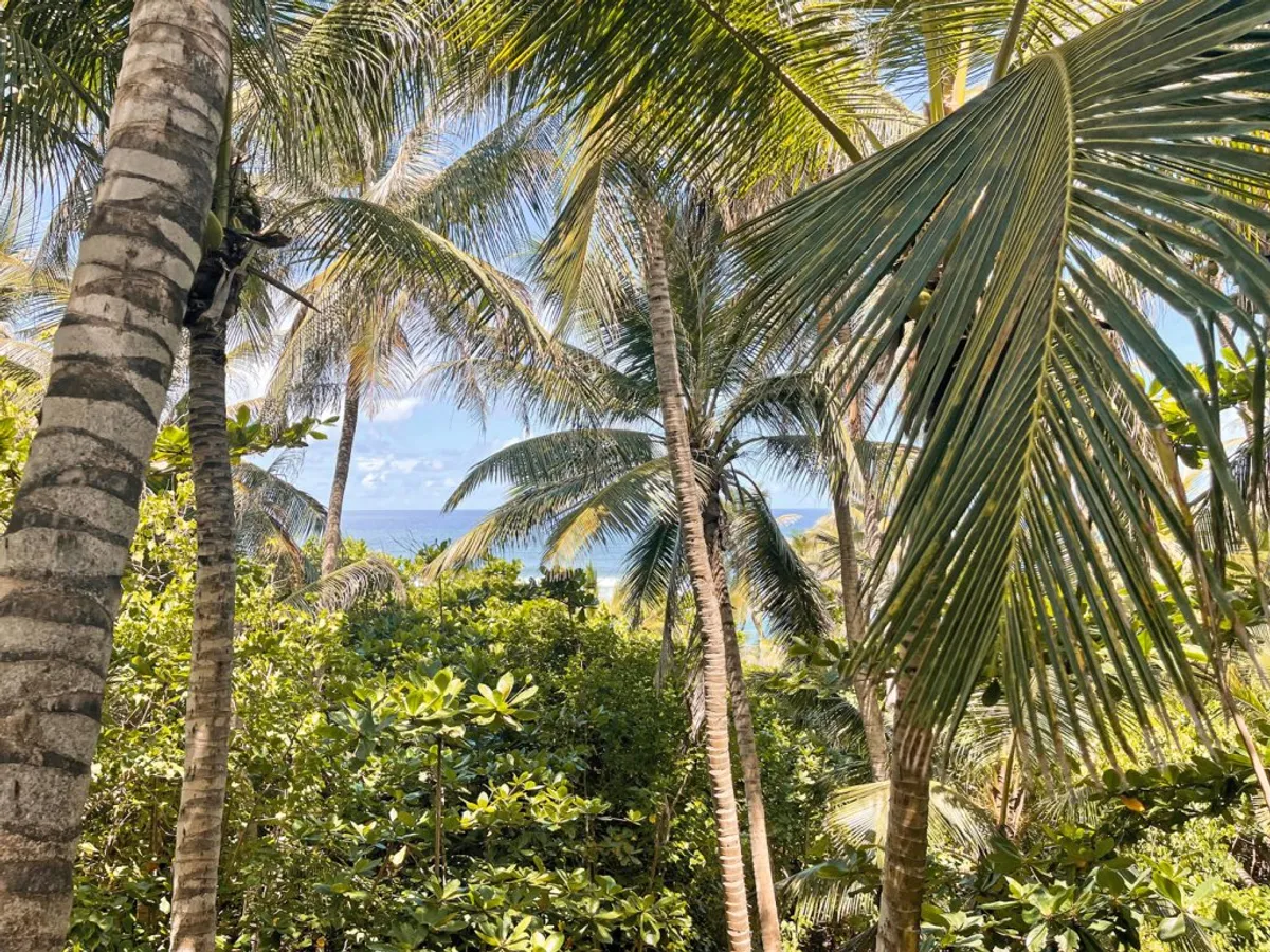 Eco Lifestyle & Lodge
