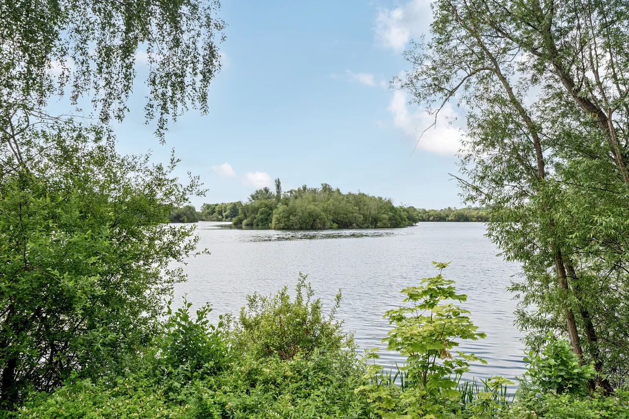 The Worple, Wraysbury, TW19 photo 10