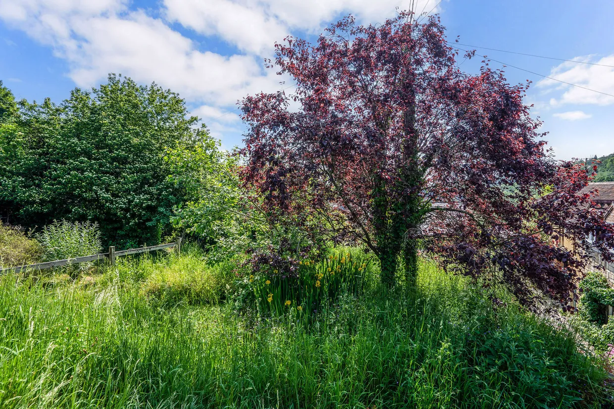 Upper Mount Pleasant, Freshford, BA2 photo 11