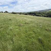 Property 5