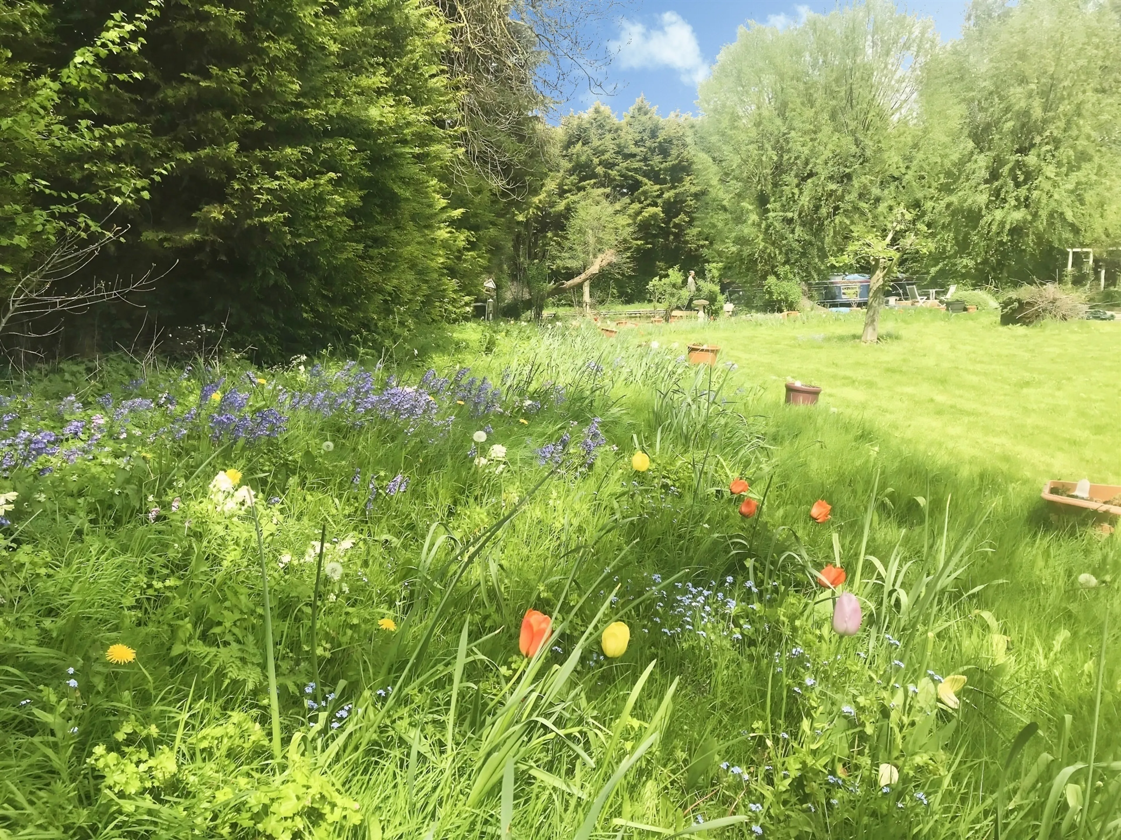 Property photo 24