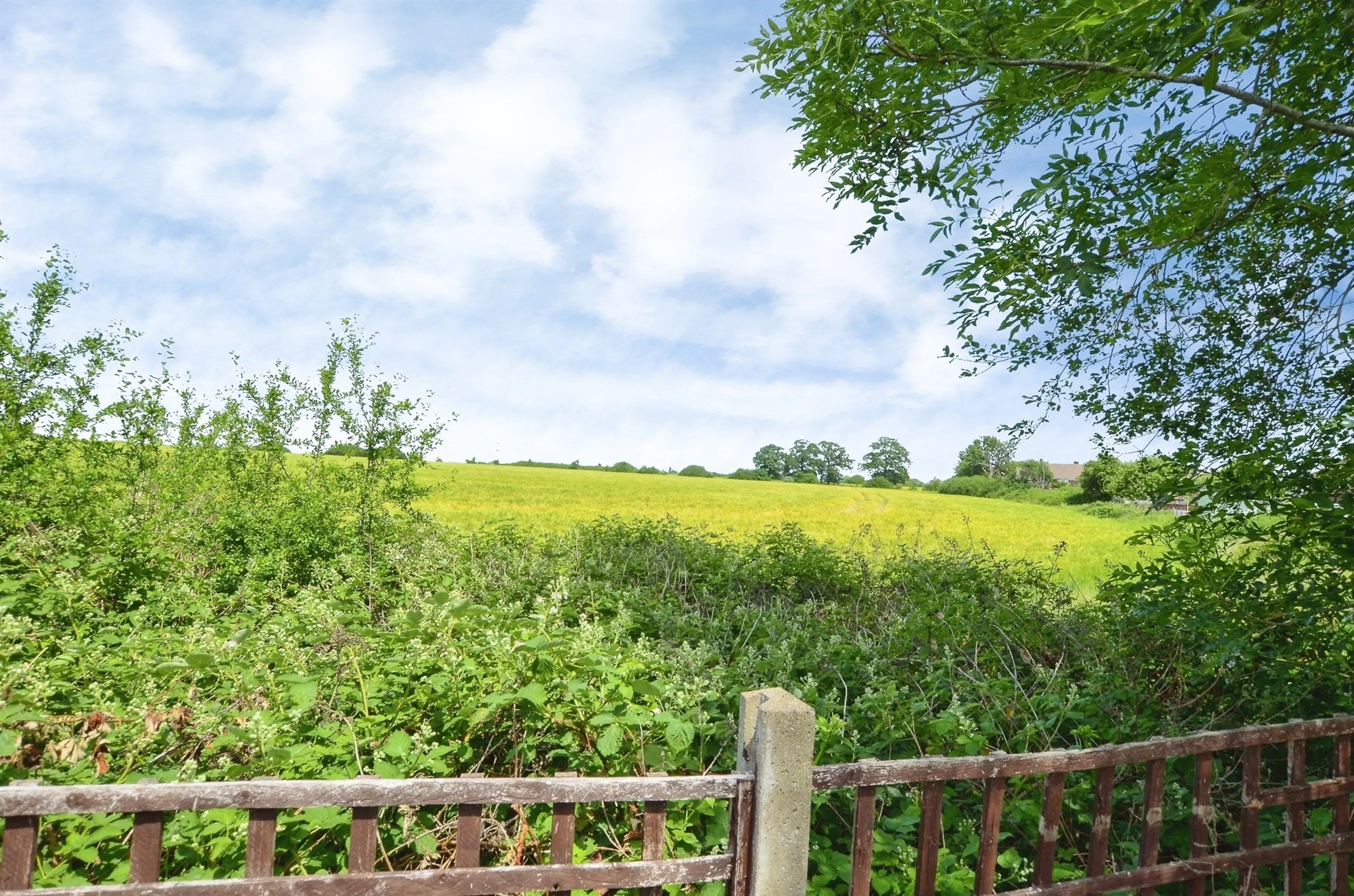 Property photo 26