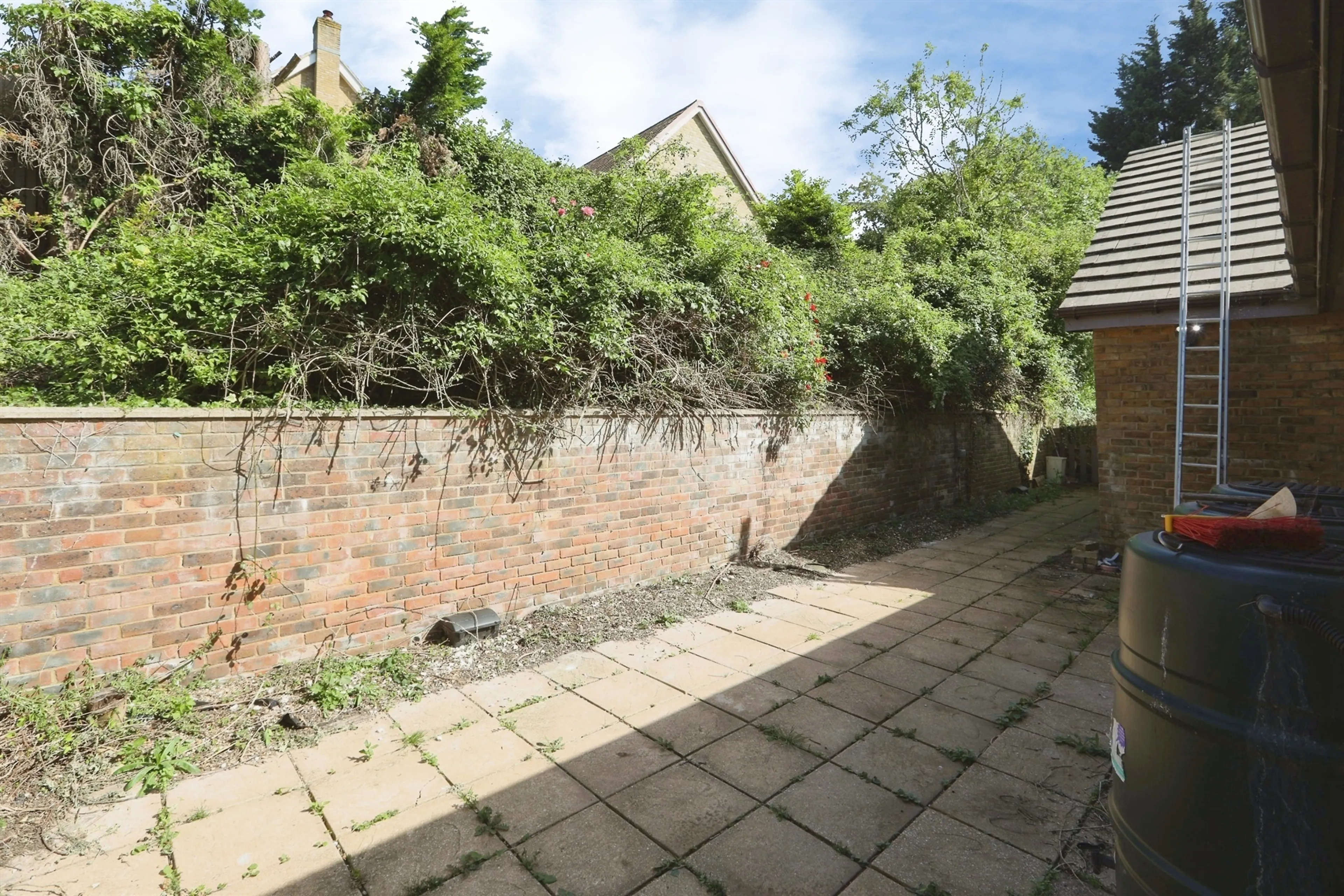 Property photo 19