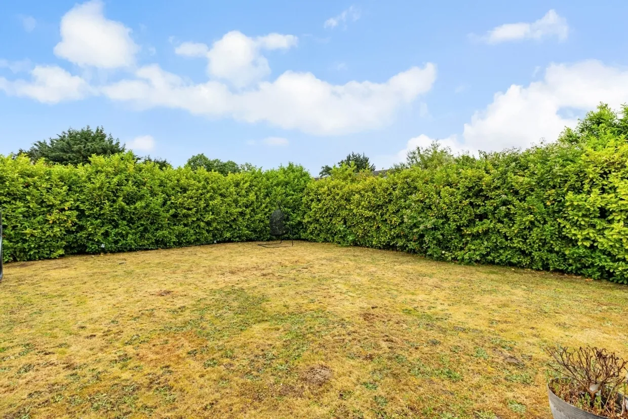 Wexham Woods SL3 photo 25