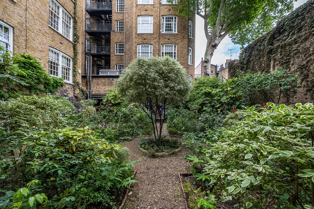 Cliveden Place, London, SW1W photo 7