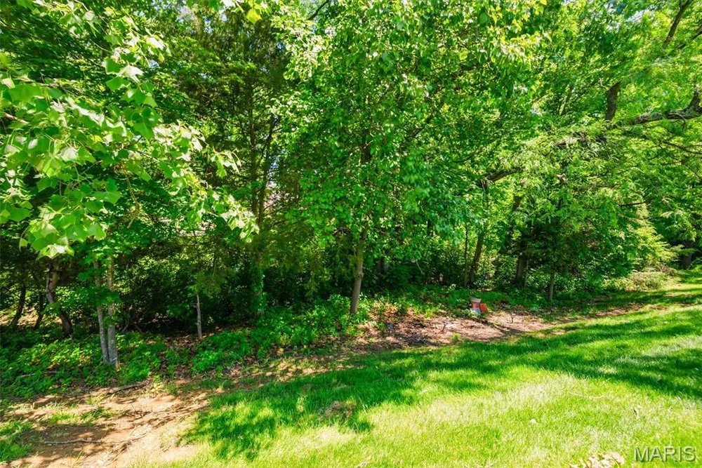 127 Burnt Oak Ct, Wentzville, MO 63385