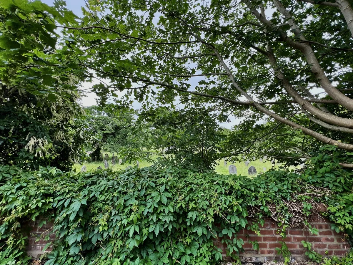 Ivy Street, Runcorn, WA7