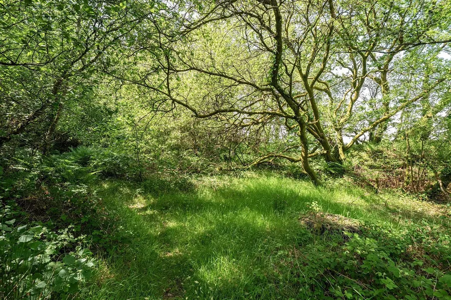 Property Image 46