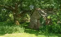 Property image gallery