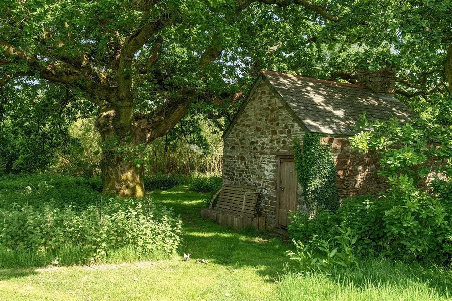 Property Image 44