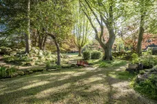 Cambridge Park, Twickenham, TW1 photo 10