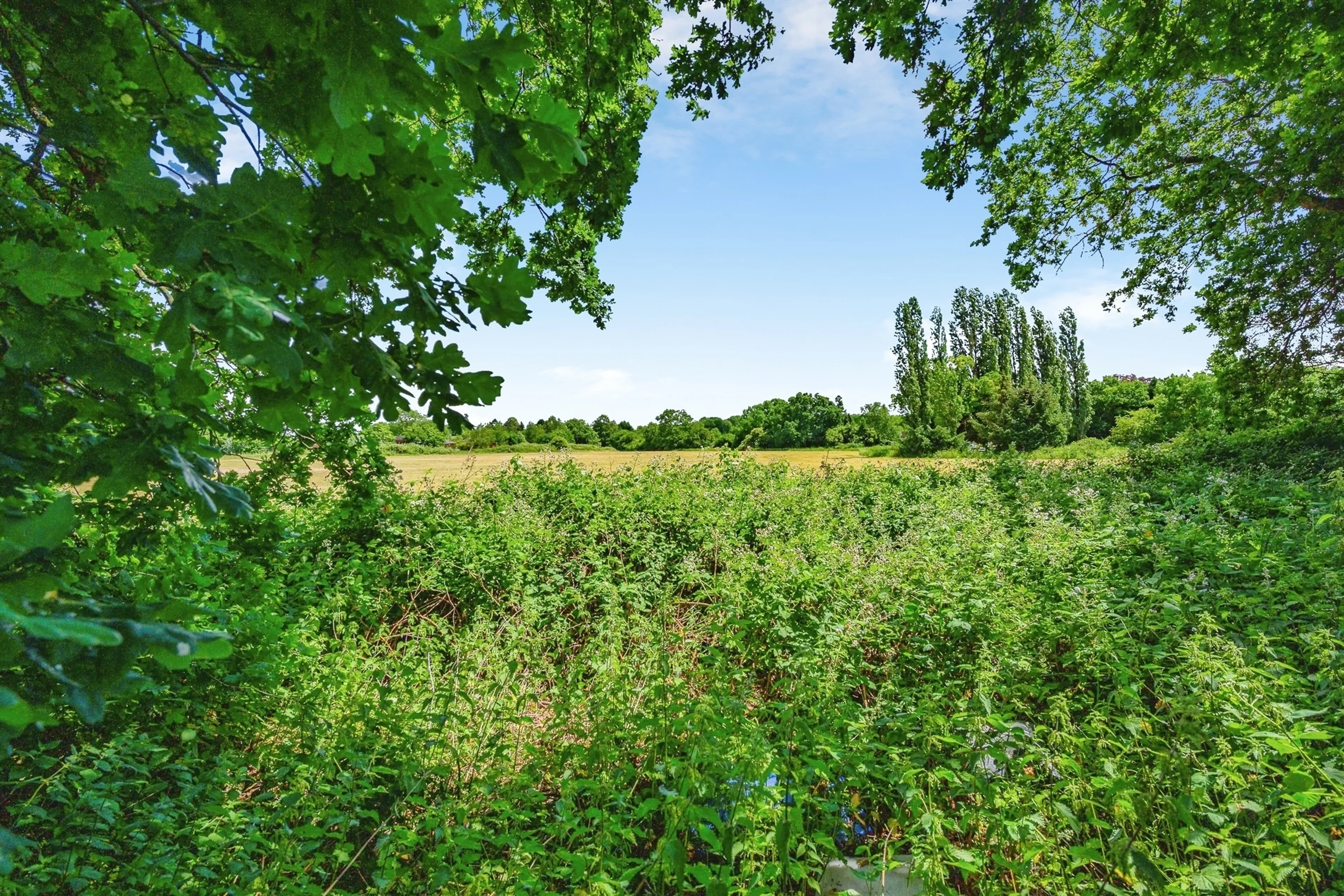 Property photo 13