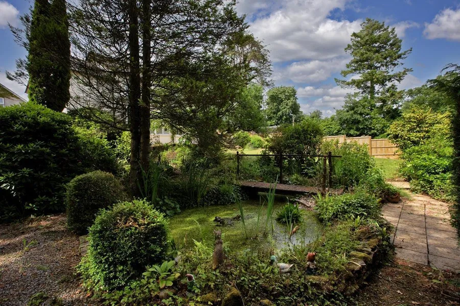 Property Image 46