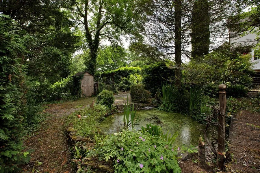 Property Image 47