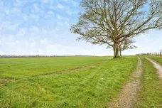 Joan Lane, Hooton Levitt, ROTHERHAM