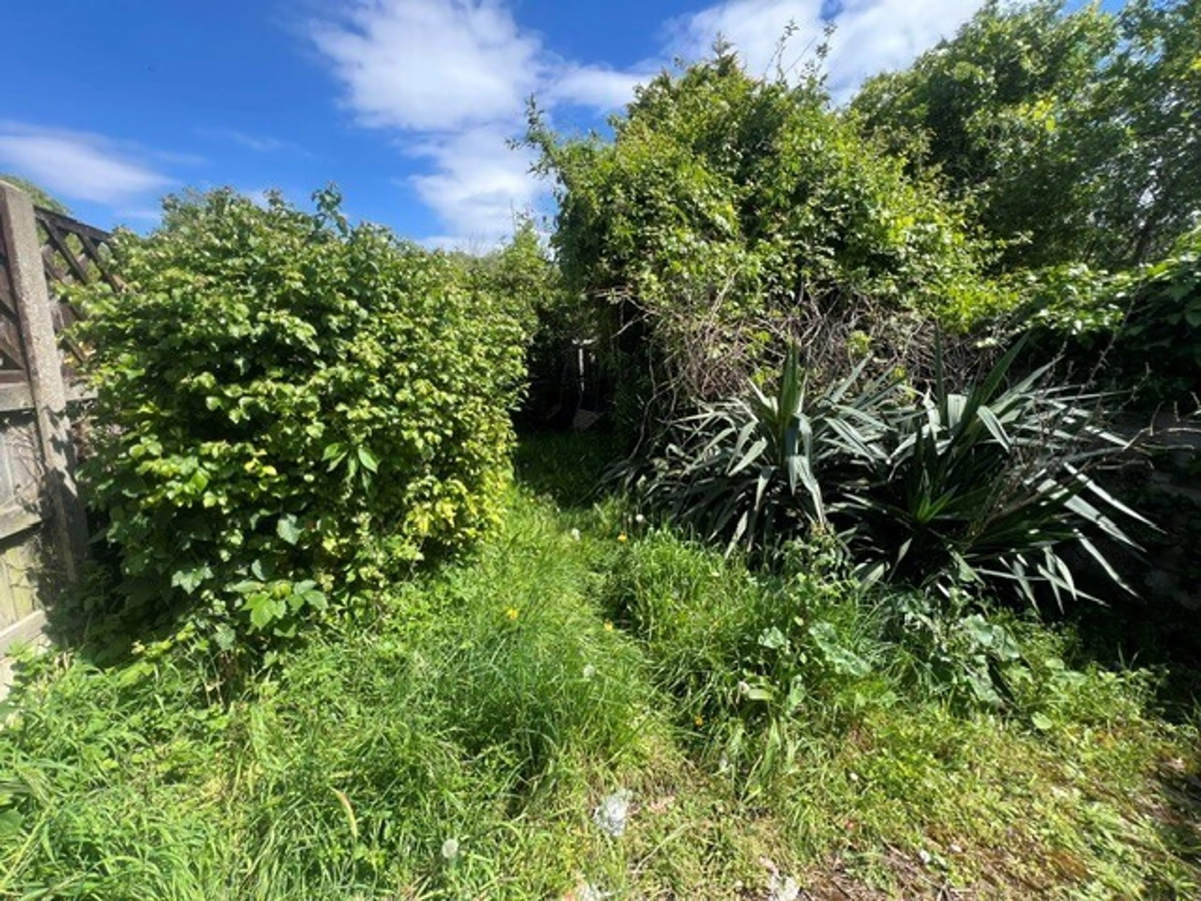 Property photo 9