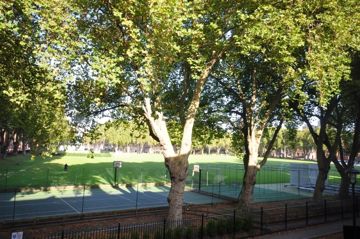 Vincent Square London SW1P photo 2
