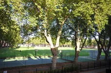 Vincent Square London SW1P photo 2