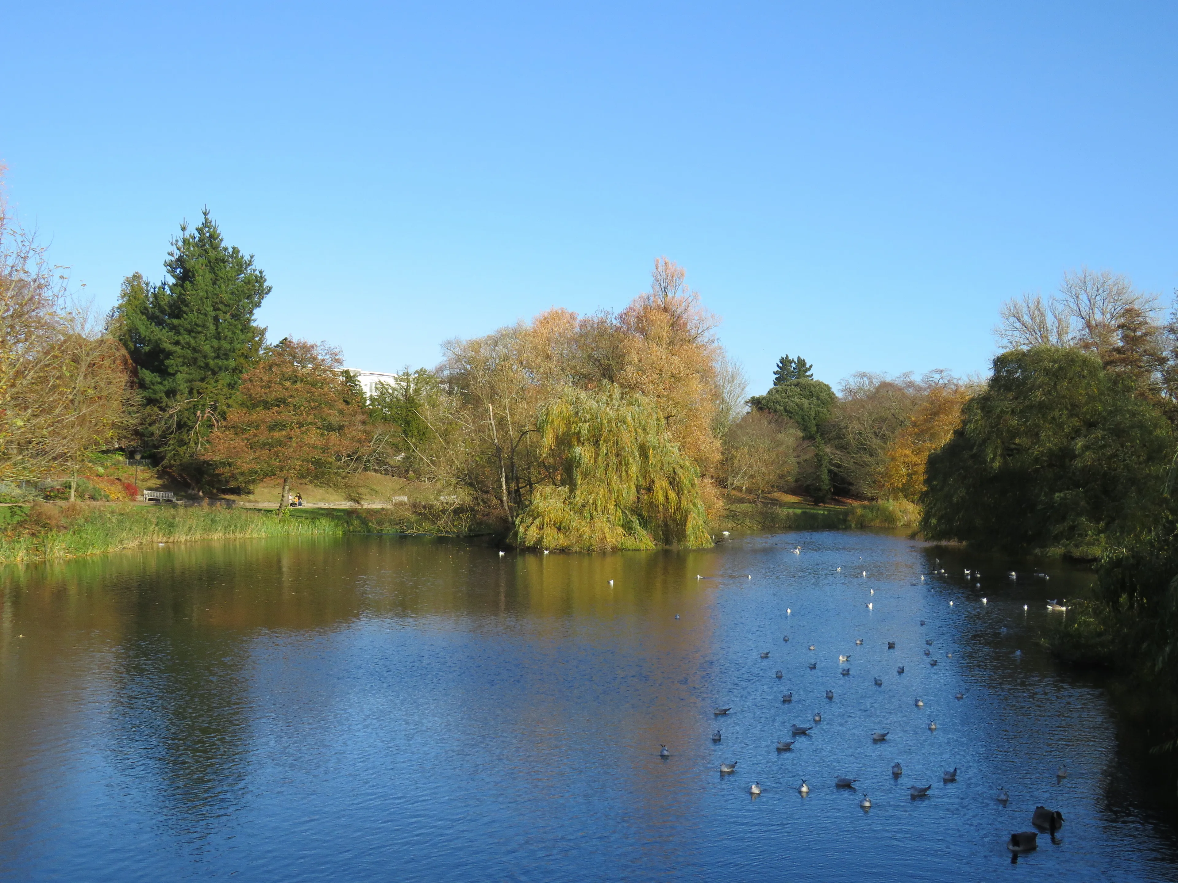 Property photo 7