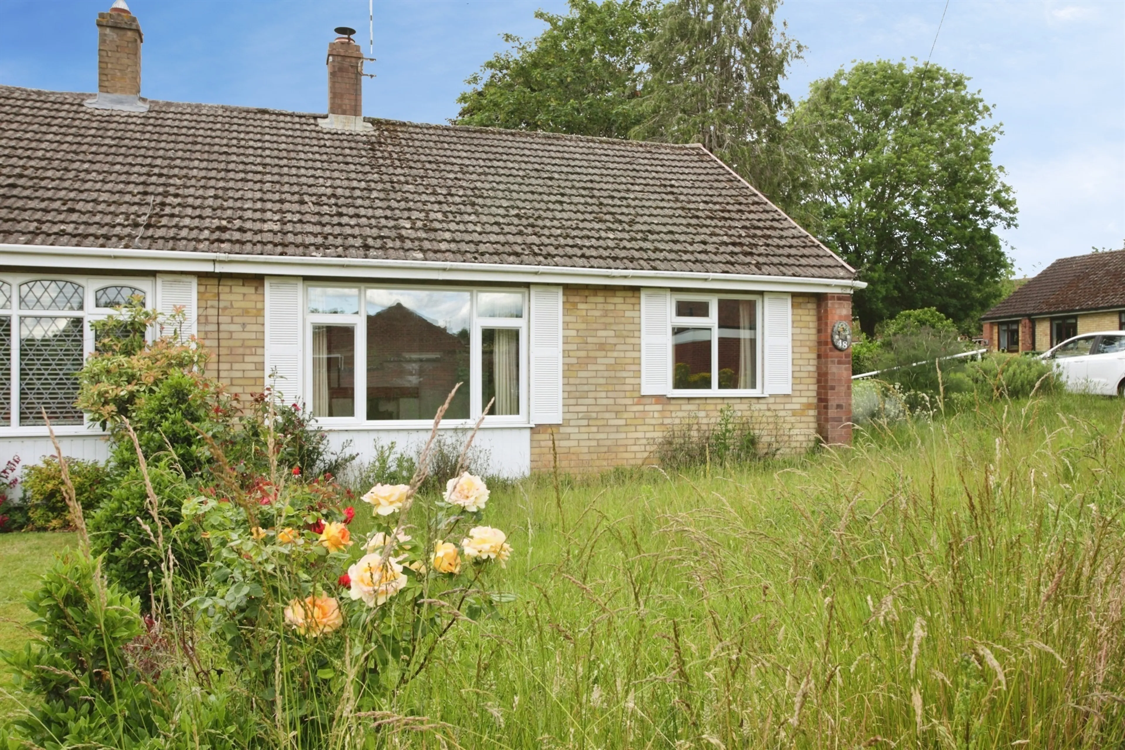 Property photo 19
