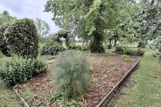 Haverholme Park, SLEAFORD