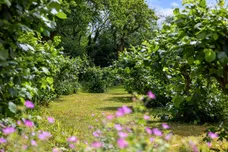 Tree Lane, Plaxtol, TN15 photo 9