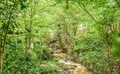 Property image gallery