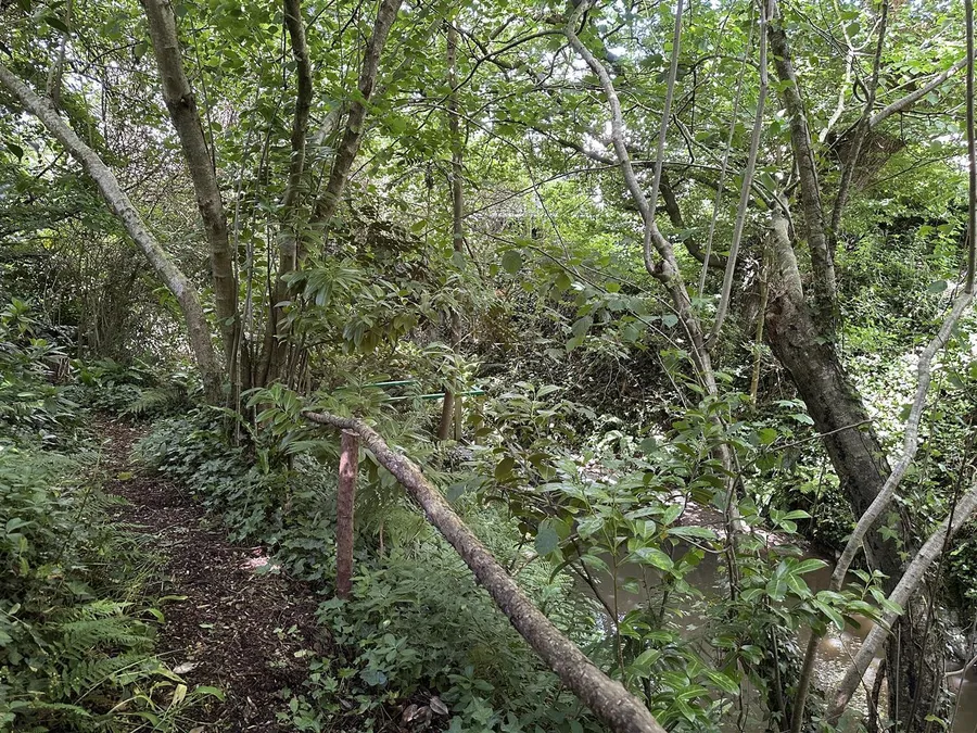 Property Image 33