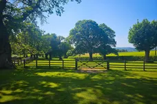 Gwysaney, Rhosesmor, MOLD