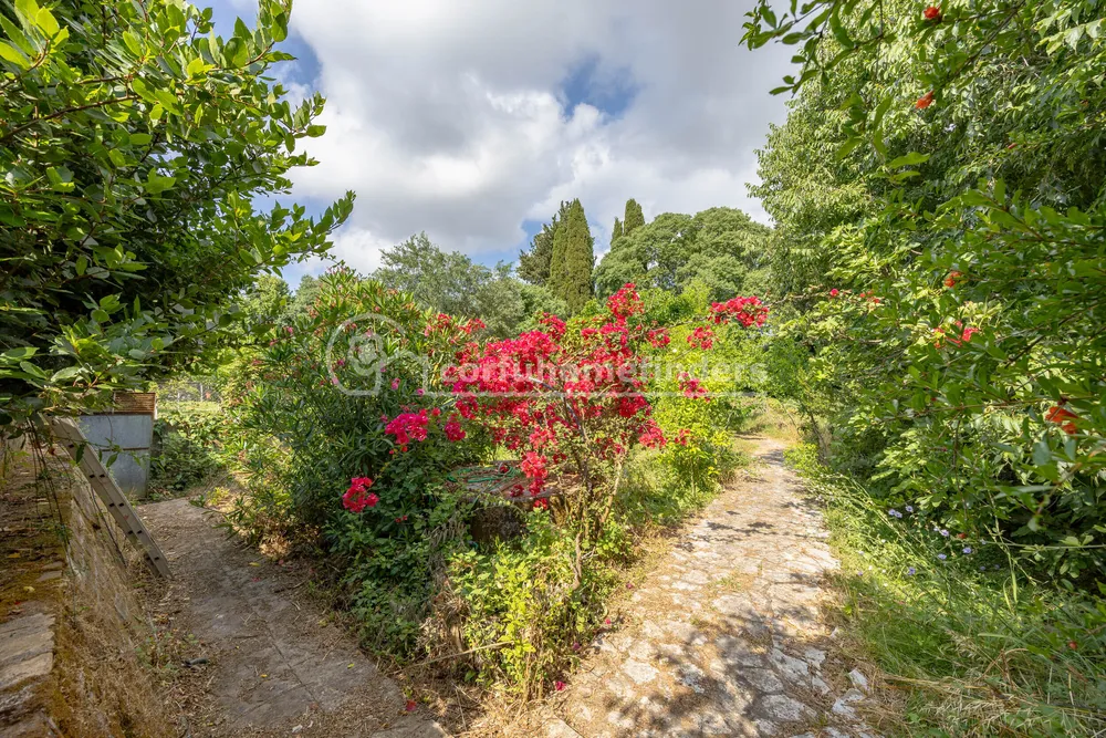 ANALIPSI MANOR, Kanoni, Corfu