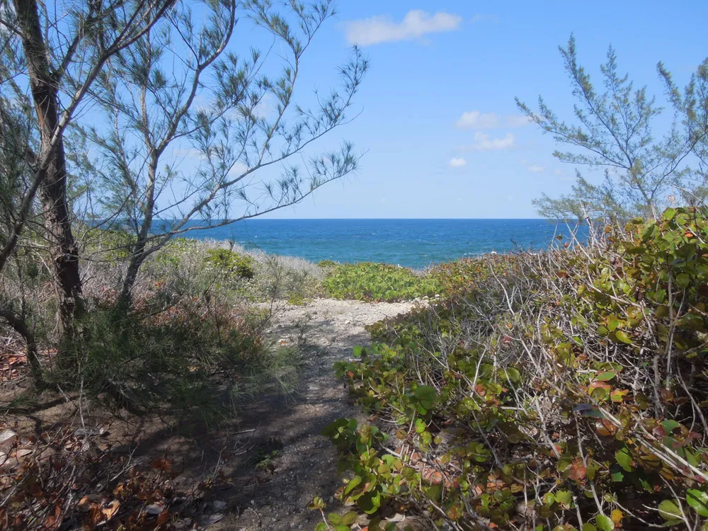 Whale Point Estates Eleuthera