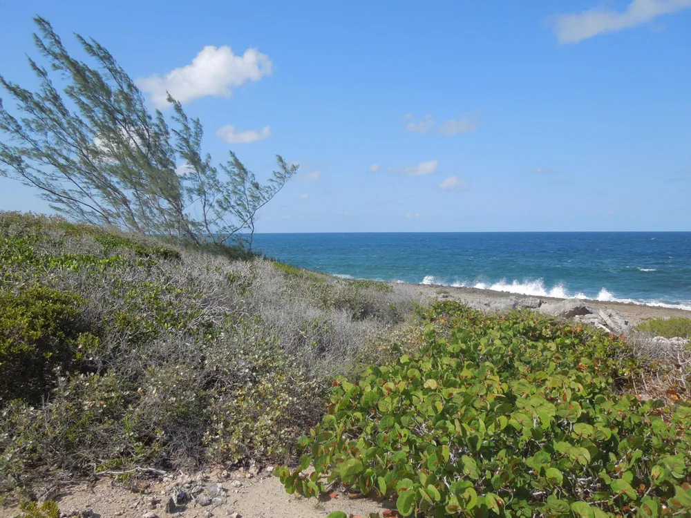 Whale Point Estates Eleuthera