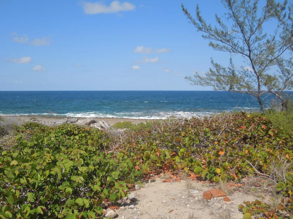 Whale Point Estates Eleuthera