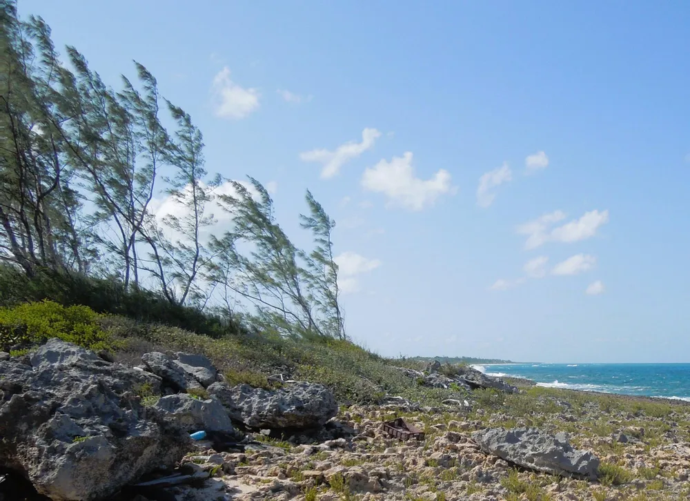 Whale Point Estates Eleuthera