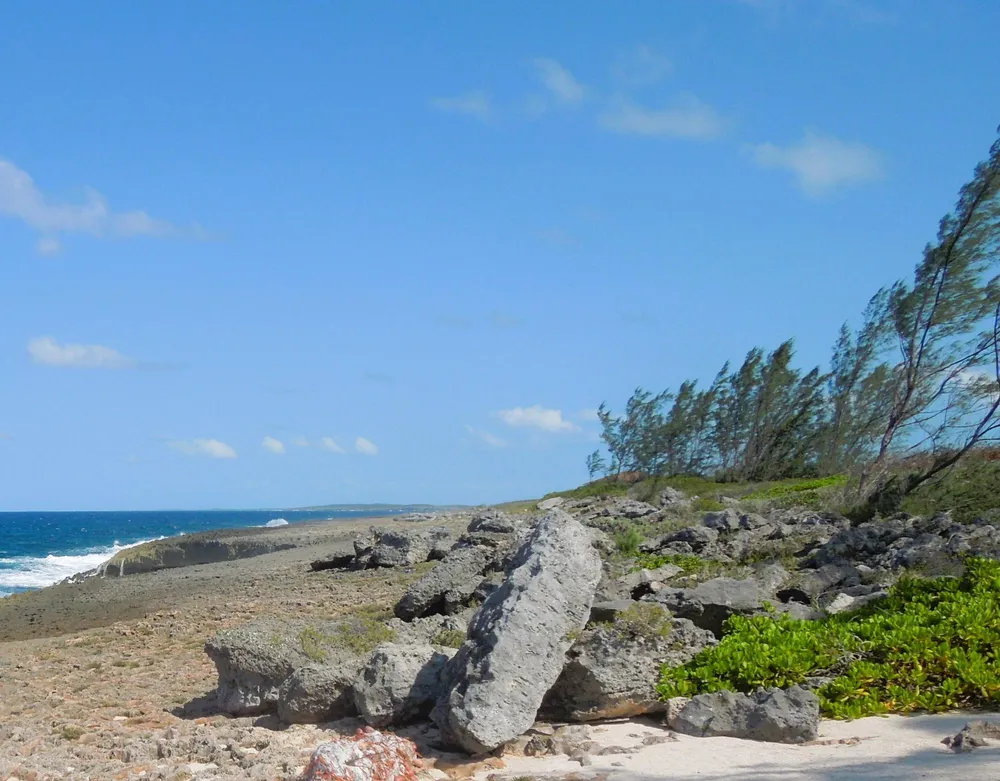 Whale Point Estates Eleuthera