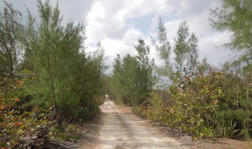 Whale Point Estates Eleuthera