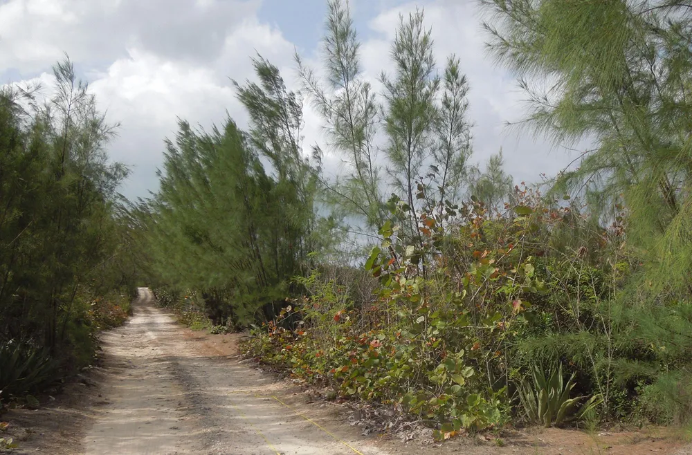 Whale Point Estates Eleuthera