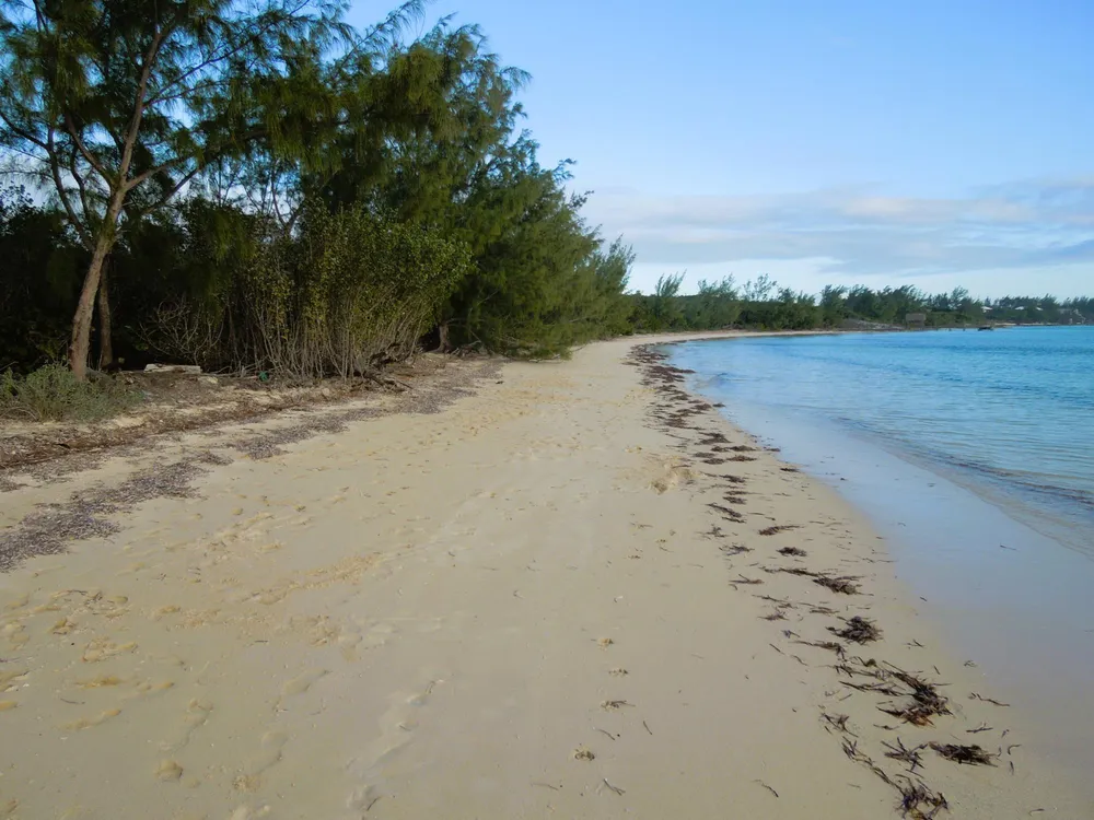 Whale Point Estates Eleuthera