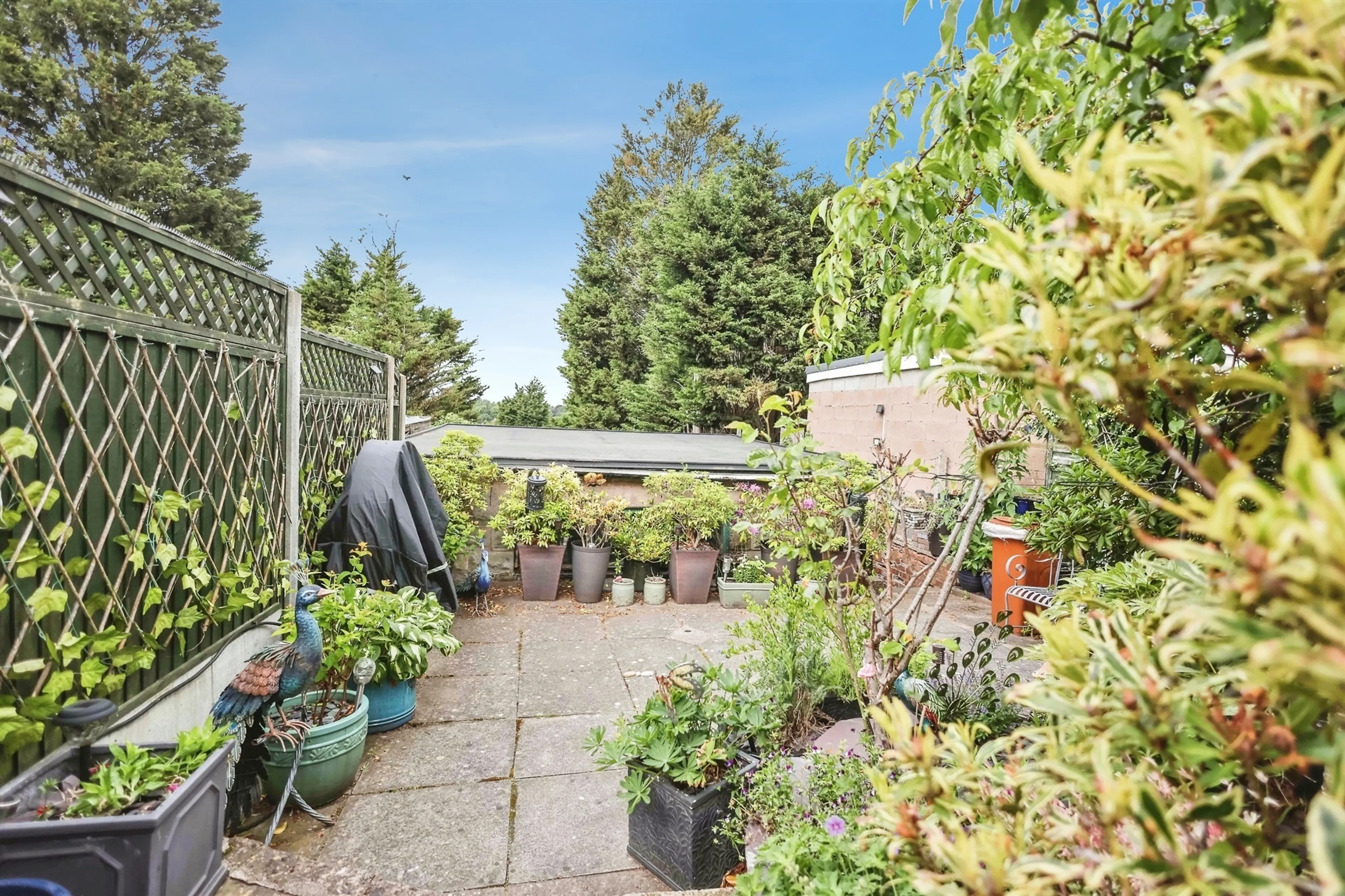 Property photo 16