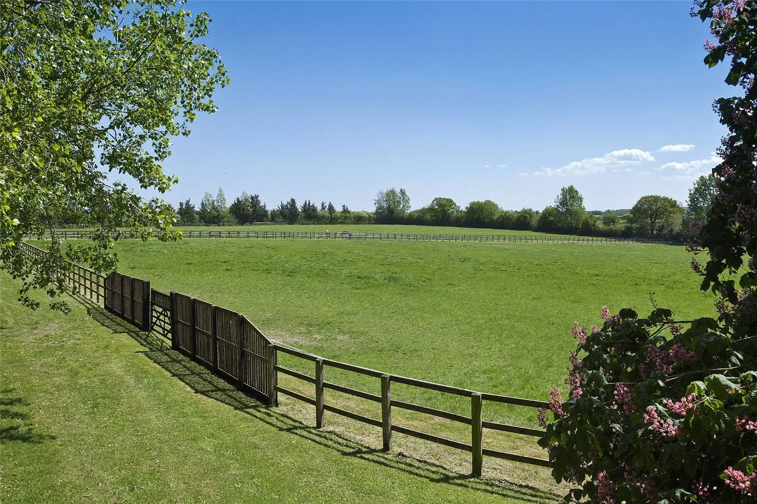 Linstead, Halesworth, IP19 photo 14