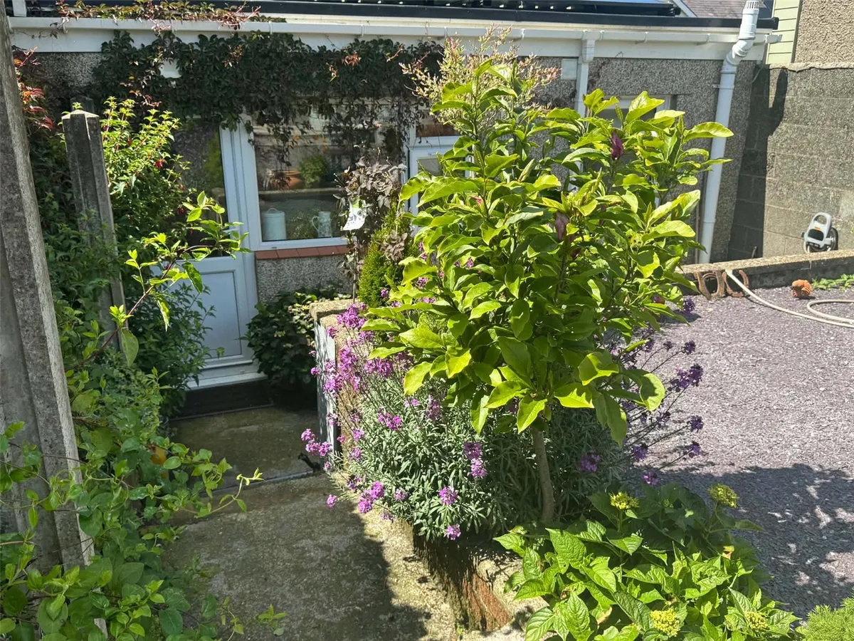 Carmel, Caernarfon, Gwynedd, LL54