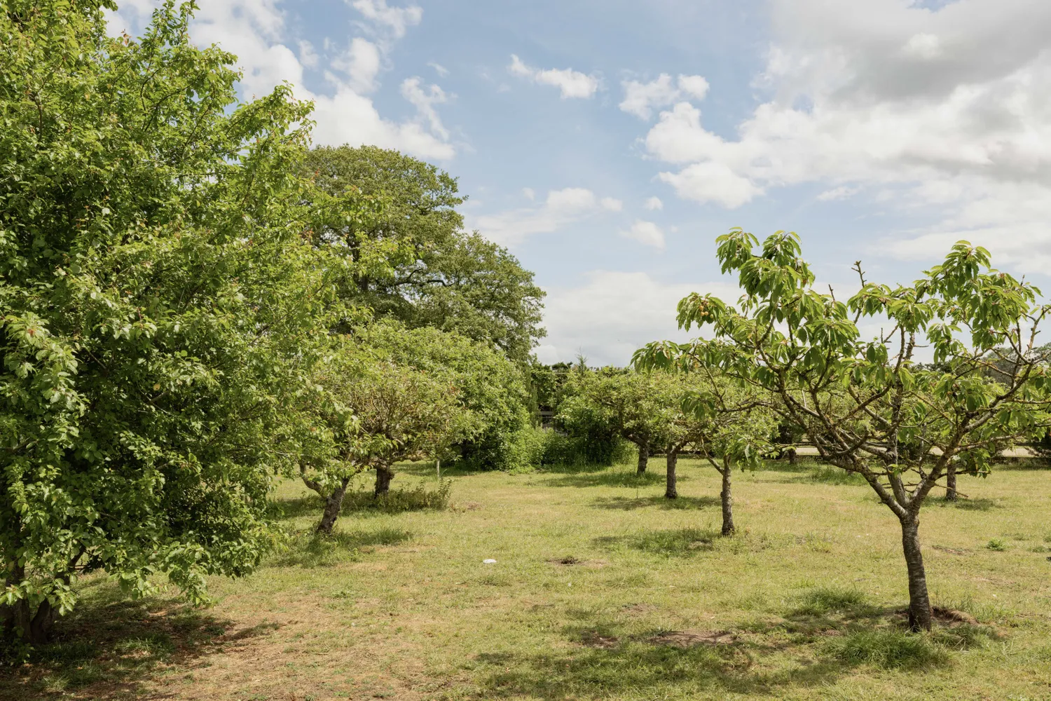 Watton Road, Shropham, NR17 photo 36