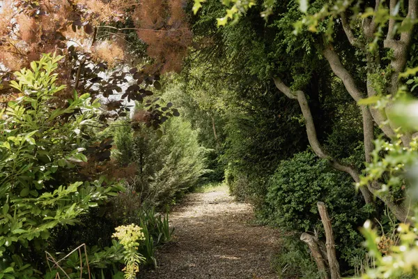Watton Road, Shropham, NR17 photo 41
