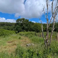 Property 20