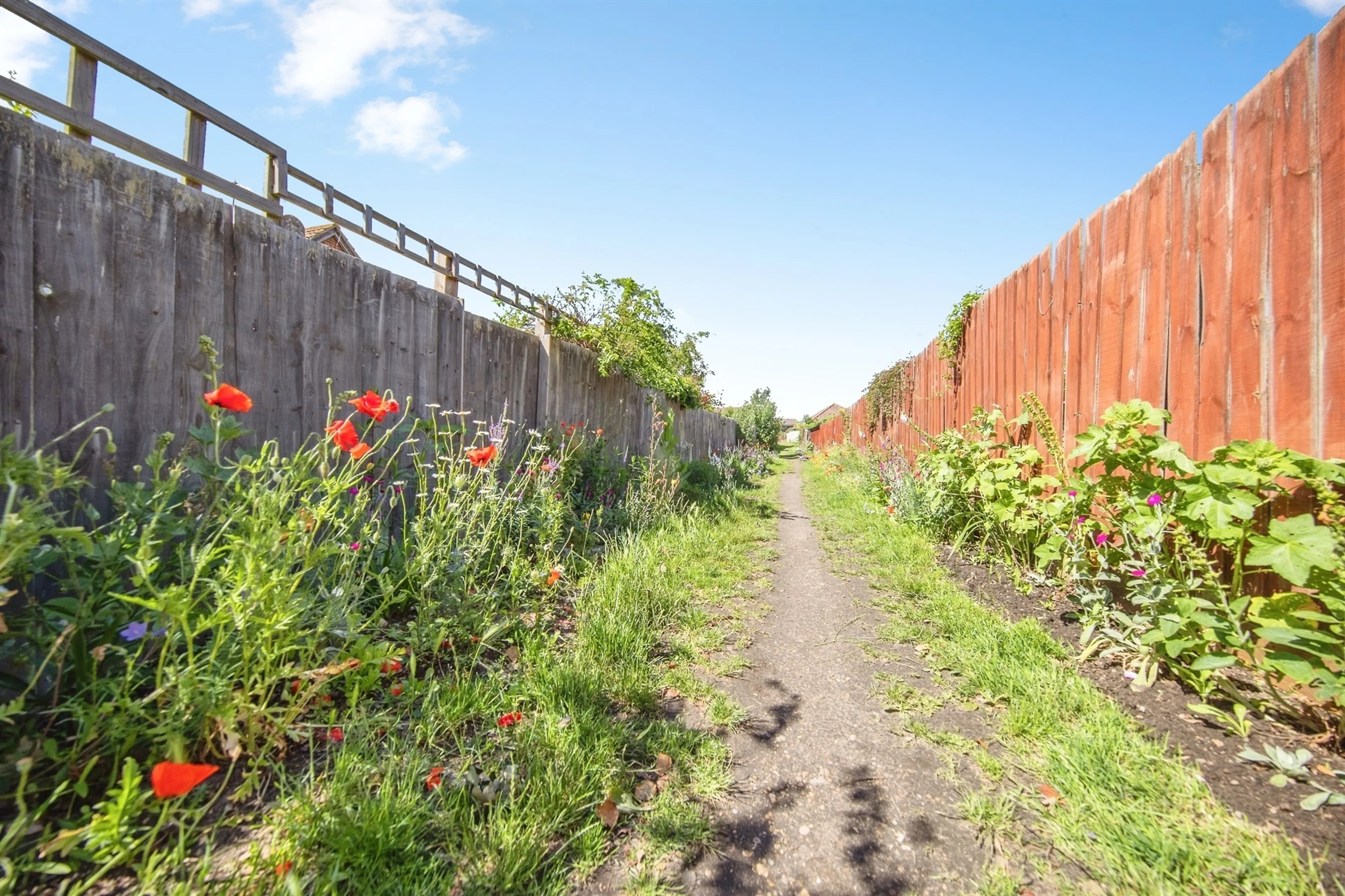 Property photo 18
