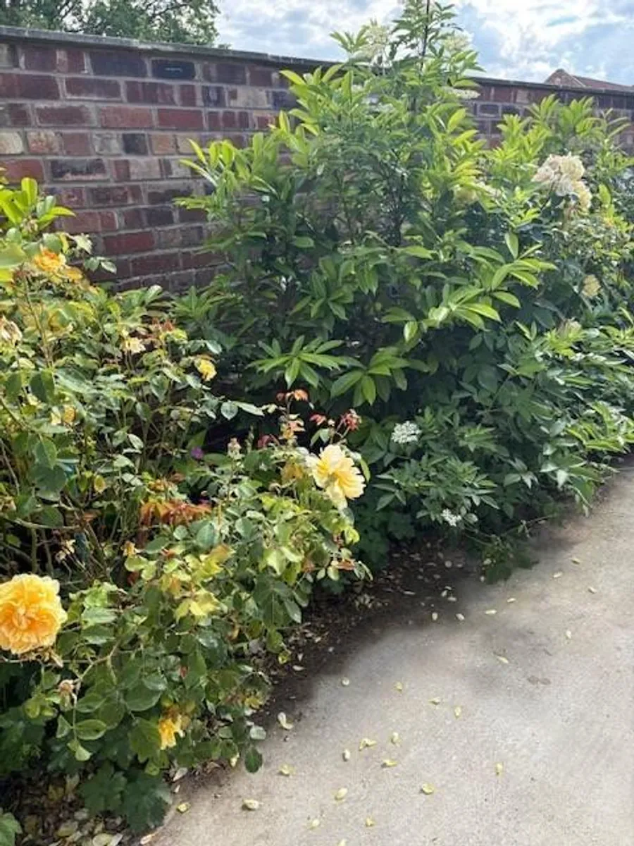 Main Road, Harlthorpe, Selby