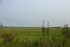 Maids Cross Hill, Lakenheath, BRANDON