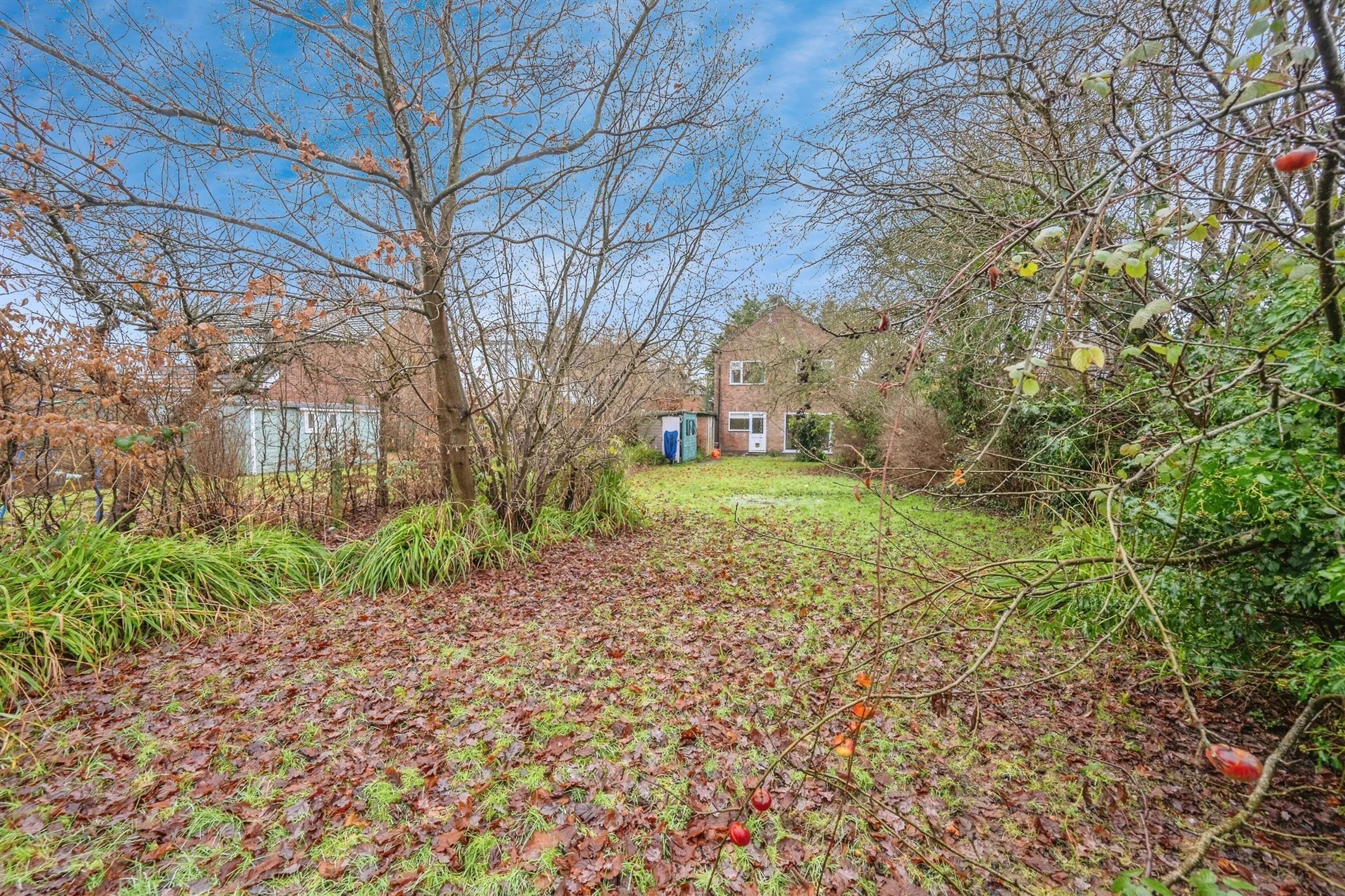 Property photo 23