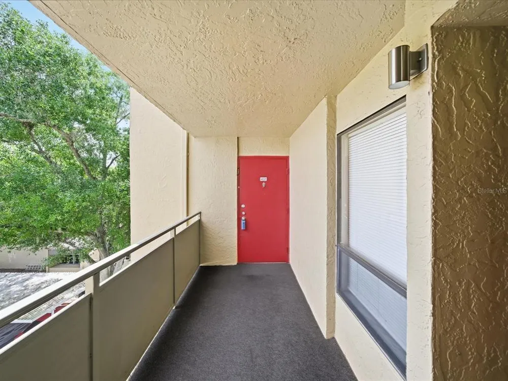 13626 Greenfield Dr, Tampa, FL 33618