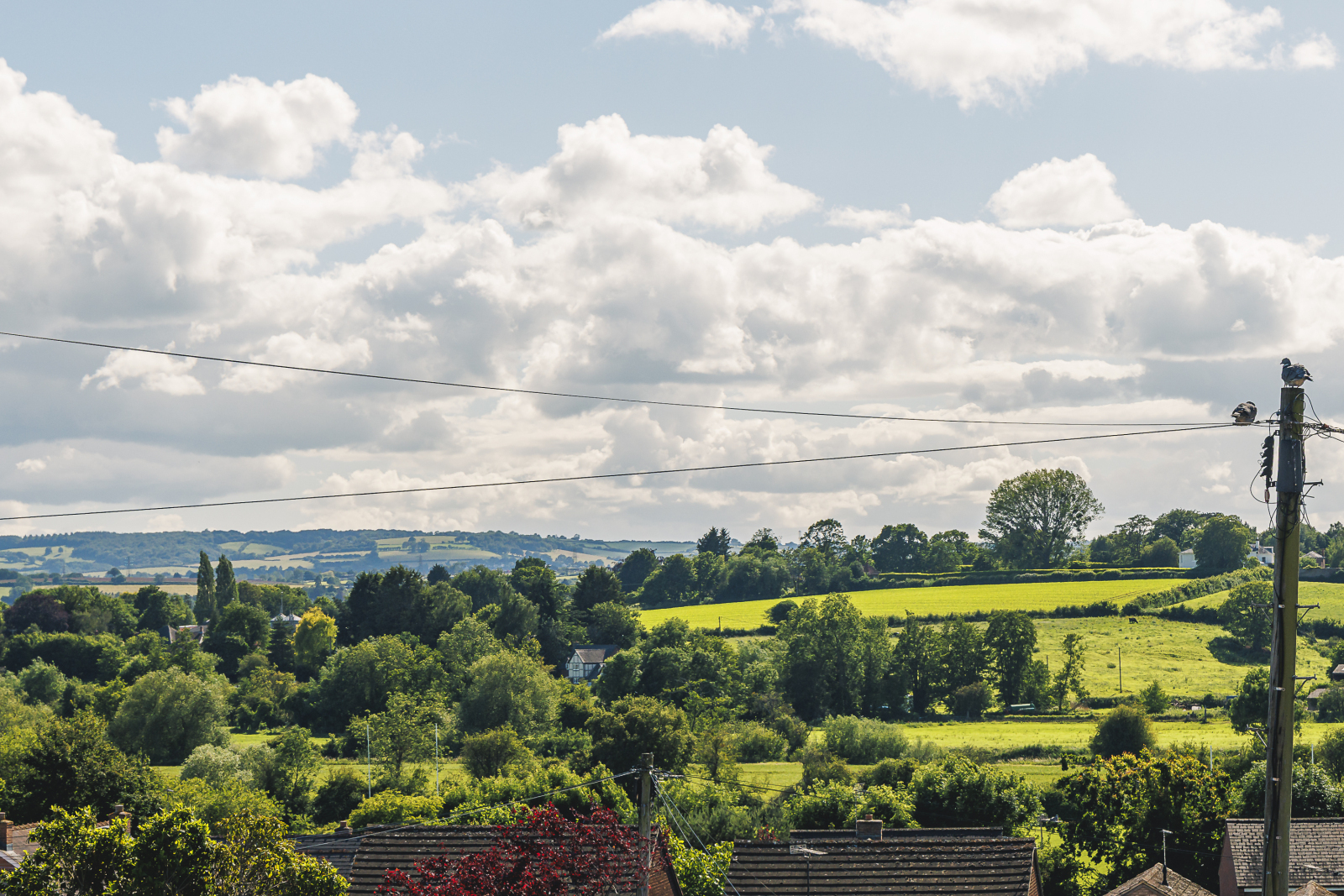 Fifth Avenue, Greytree, Ross-on-Wye, Herefordshire, HR9 Image 16